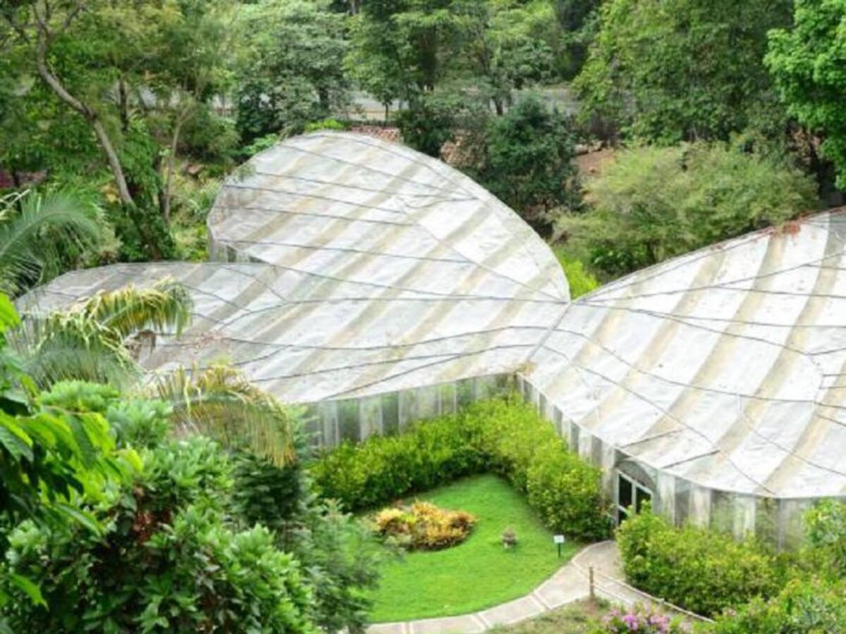 Protocolos en Jardín Botánico no se podrían implementar: Alberto Gómez