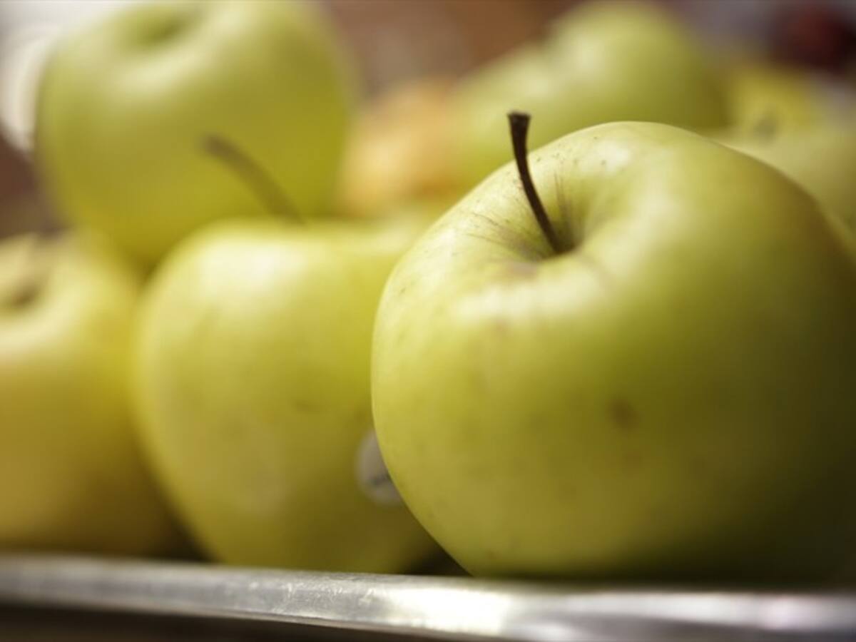 Qué bueno que el optimismo tome más fuerza que el pesimismo: padre Daniel Saldarriaga