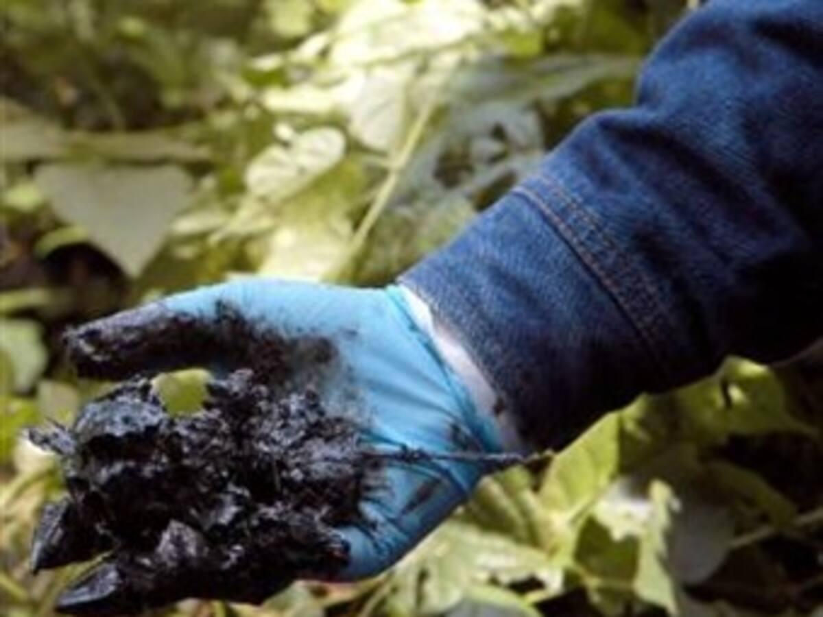Derrame de petróleo afecta localidad selvática peruana cercana a Ecuador