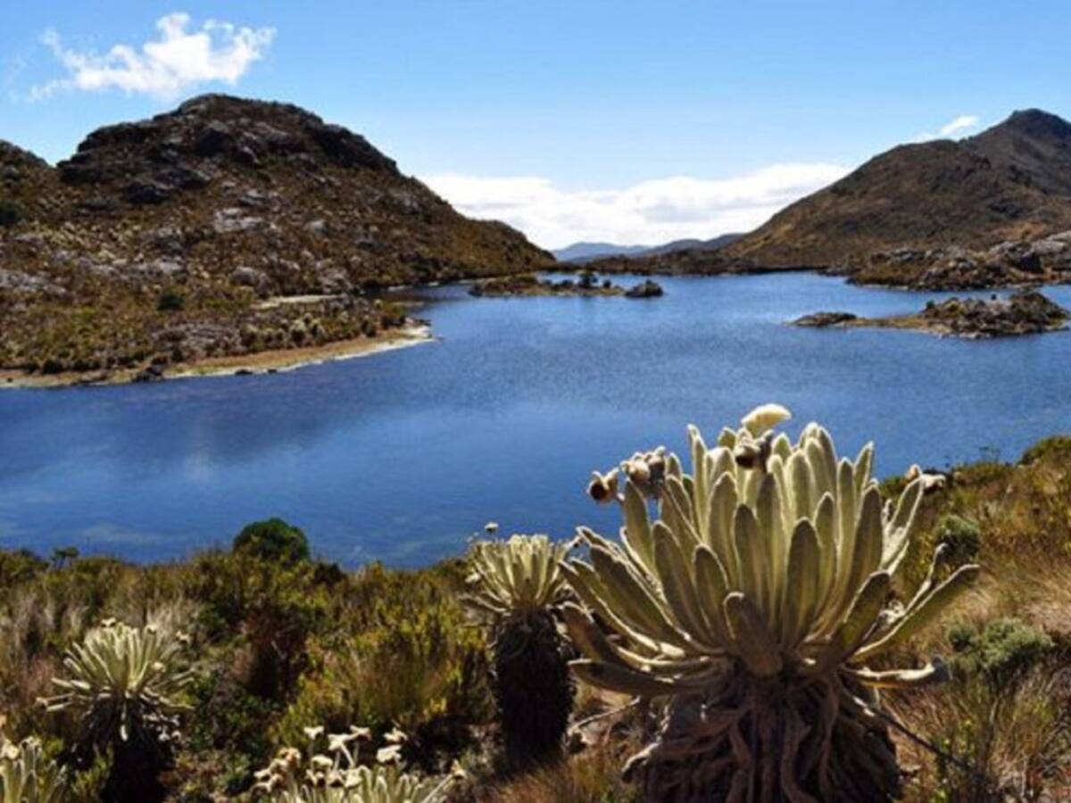 Anla archivó evaluación de licencia ambiental para proyecto de Minesa