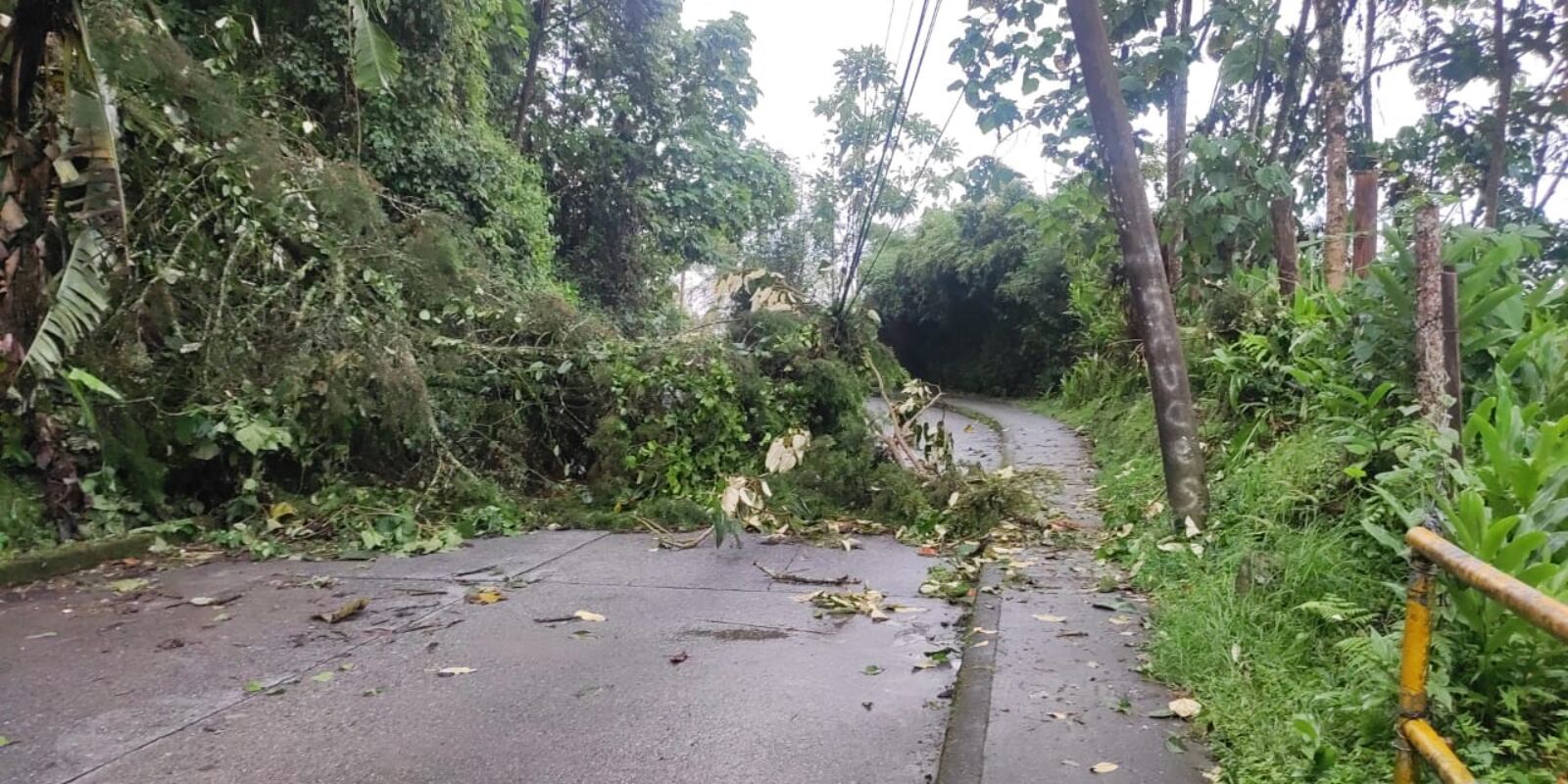 Suministrada UGR Manizales