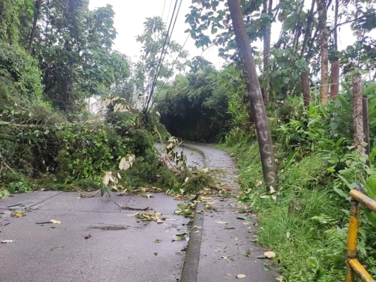 Afectaciones viales en vías de Manizales
