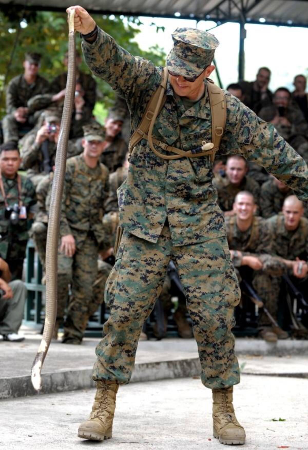 En lo profundo de las selvas de Tailandia, un ejercicio militar se lleva a cabo donde los participantes beben la sangre de cobras recién muertas.