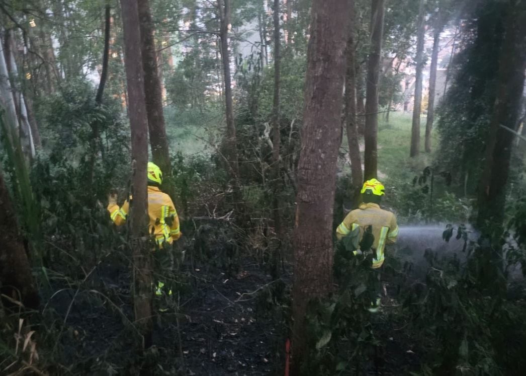 Incendio en el sector del seminario de Medellín - foto Dagrd