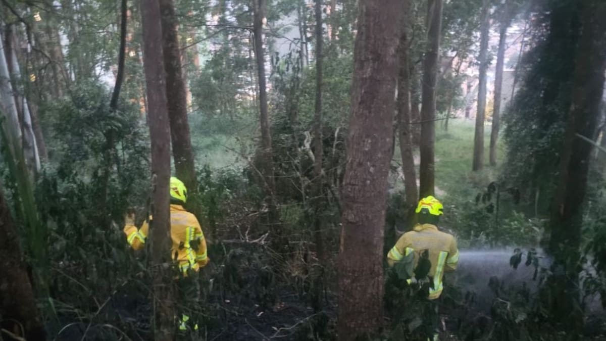 Denuncian que un pirómano trató de reactivar un incendio que ya estaba controlado en Medellín