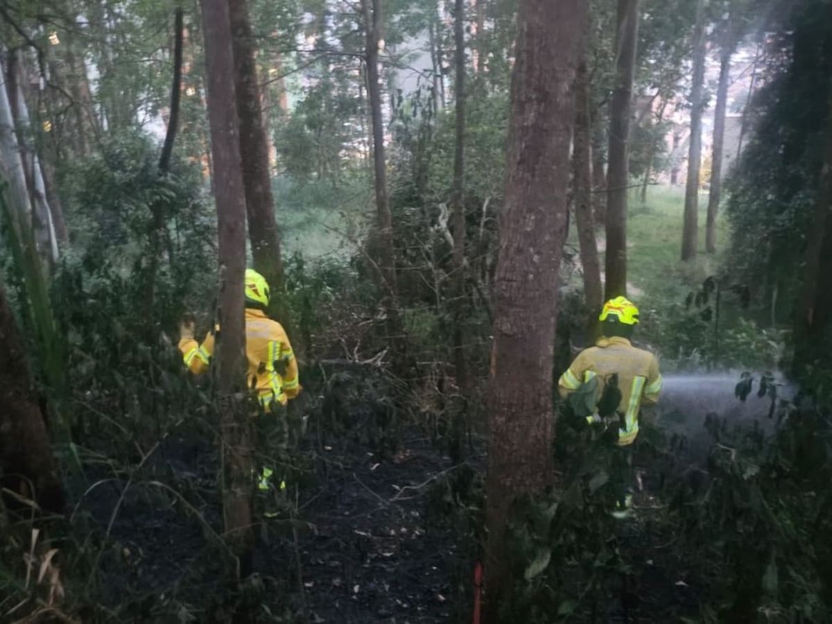 Denuncian que un pirómano trató de reactivar un incendio que ya estaba controlado en Medellín