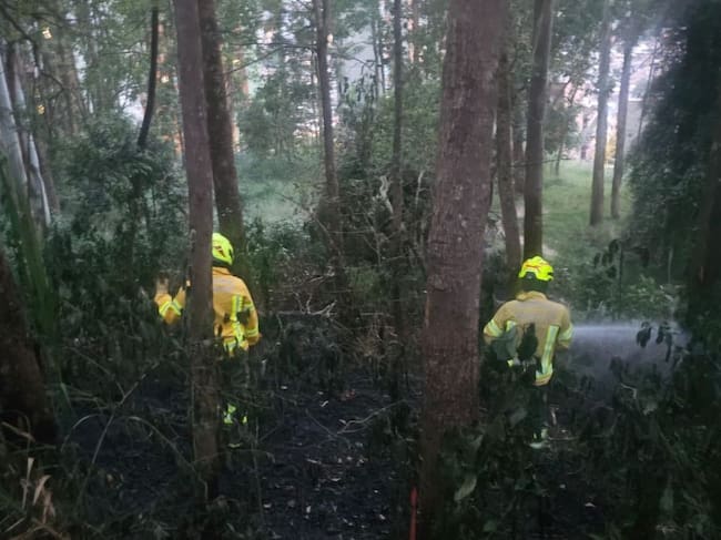 Incendio en el sector del seminario de Medellín - foto Dagrd