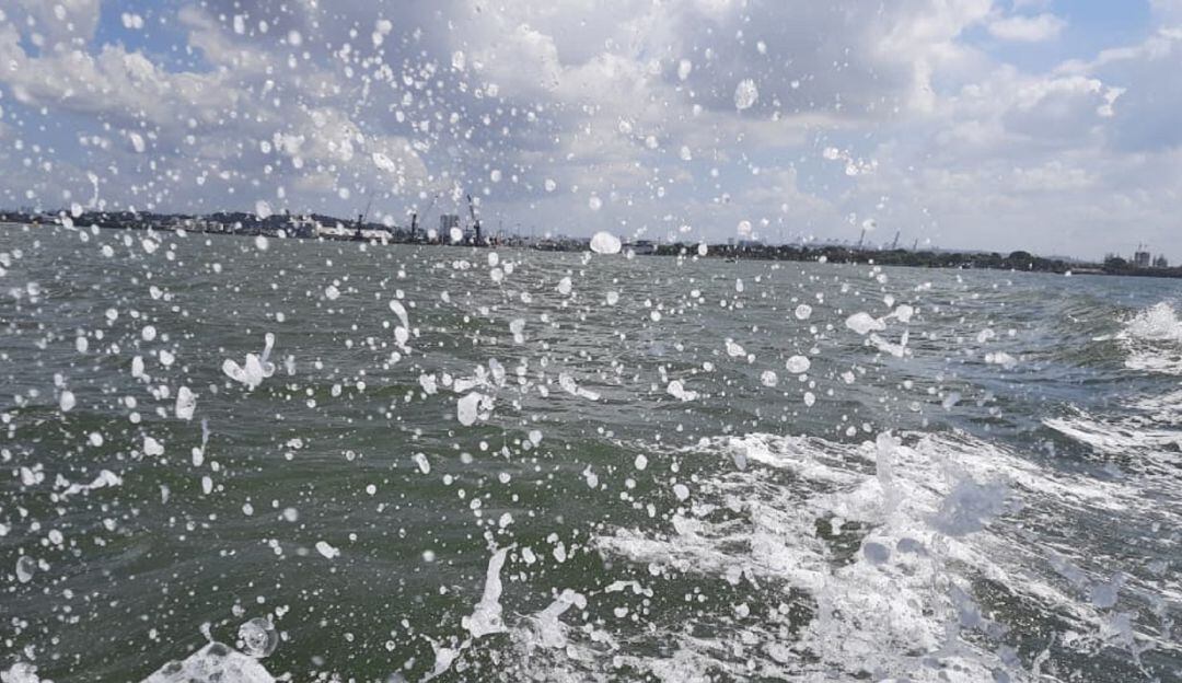 Los vientos tendrán velocidades entre 28 y 31 kilómetros por hora