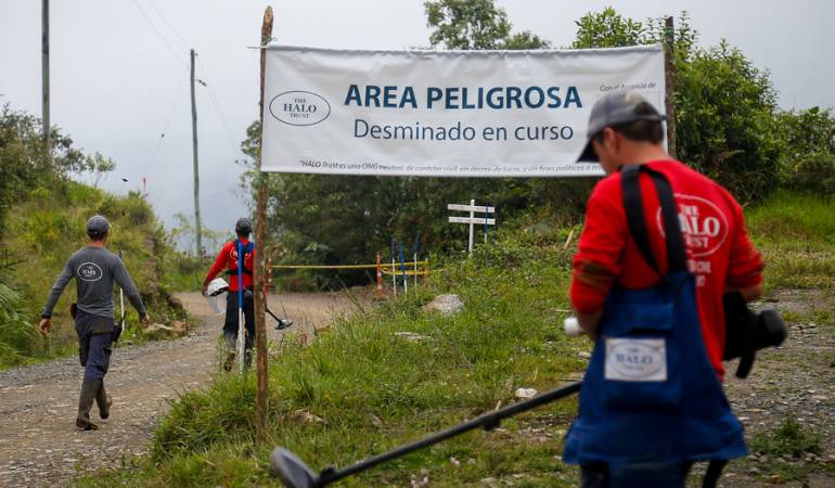 The Halo Trust realiza la labor de Desminado Humanitario en Sonsón, Antioquia. 