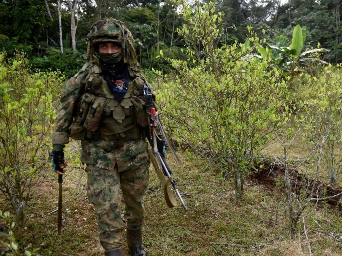 Combates entre Ejército y disidencias deja varios muertos en Argelia, Cauca