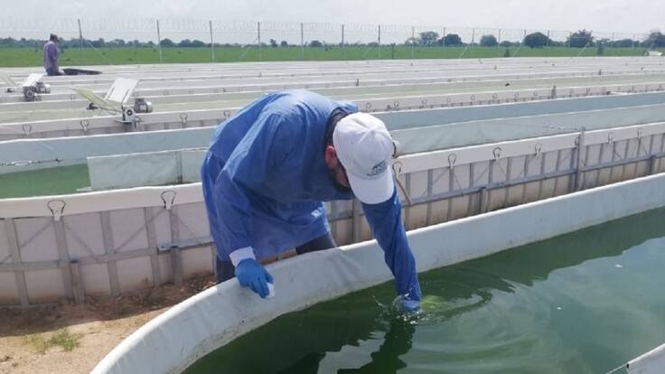 HOY POR HOY BARRANQUILLA - PROYECTO FICOSUCRE, PREMIOS VERDE LATAM