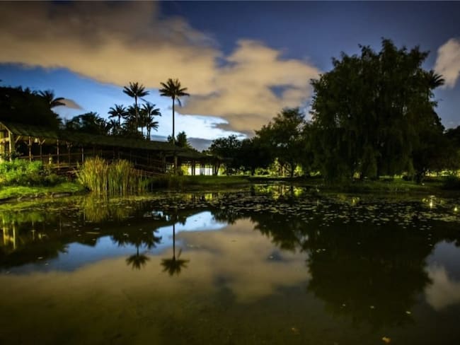 Planes GRATIS en BOGOTÁ: Vaya al Jardín Botánico de Noche este viernes
