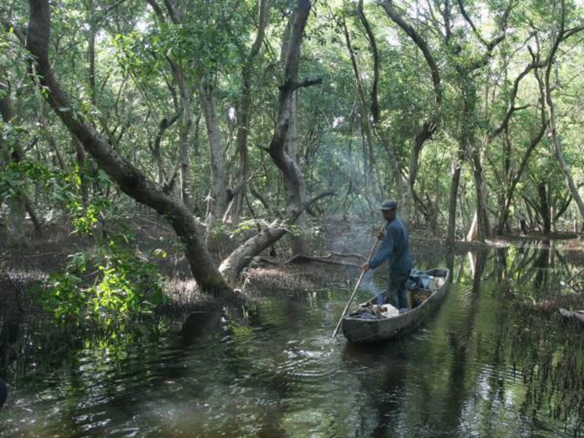 Se alista plan para recuperar la Ciénaga Grande de Santa Marta
