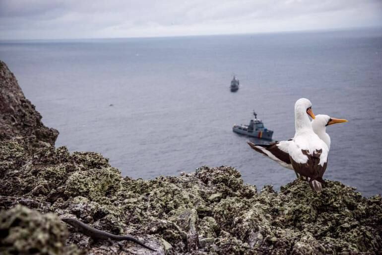 Familiares en Medellín celebran rescate de buzos.
