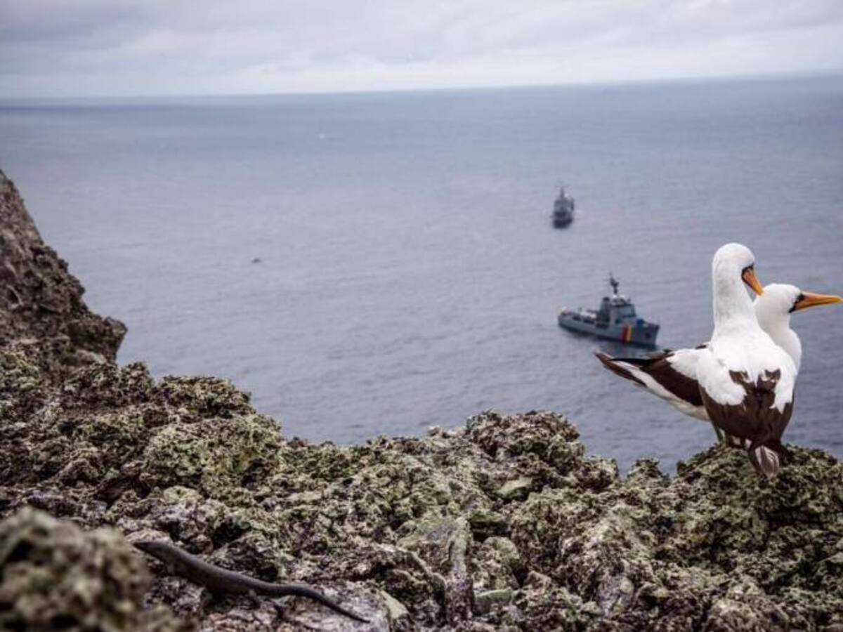 Hallan buzos antioqueños que estaban desaparecidos en el pacífico