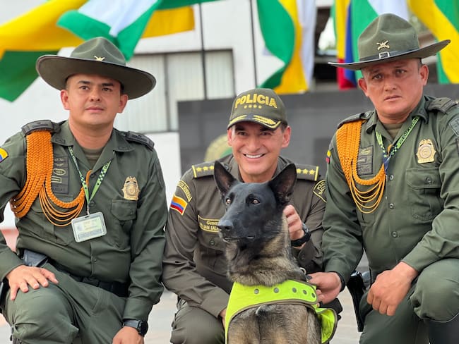 Odhil, un Pastor Belga Malinois de 4 años de edad, y de los cuales, 2 los ha dedicado al servicio en la Policía Metropolitana de Neiva.
