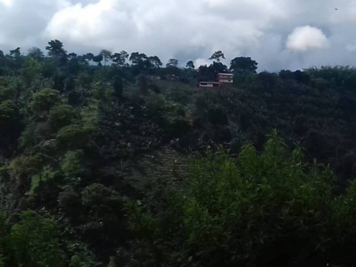 Miércoles 30 de mayo, las noticias más importantes de Armenia y Quindío