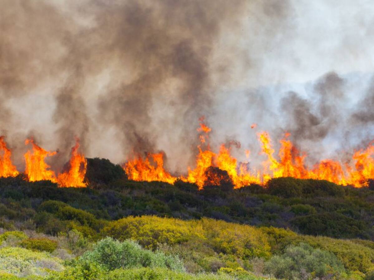 Las quemas a cielo abierto son un problema recurrente en las zonas rurales