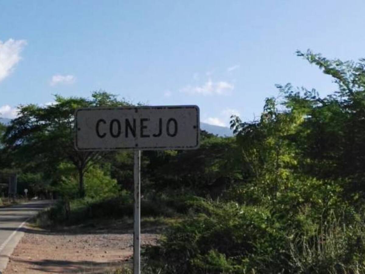 Las Farc jugarán las olimpiadas del pueblo de Conejo y un partido de paz