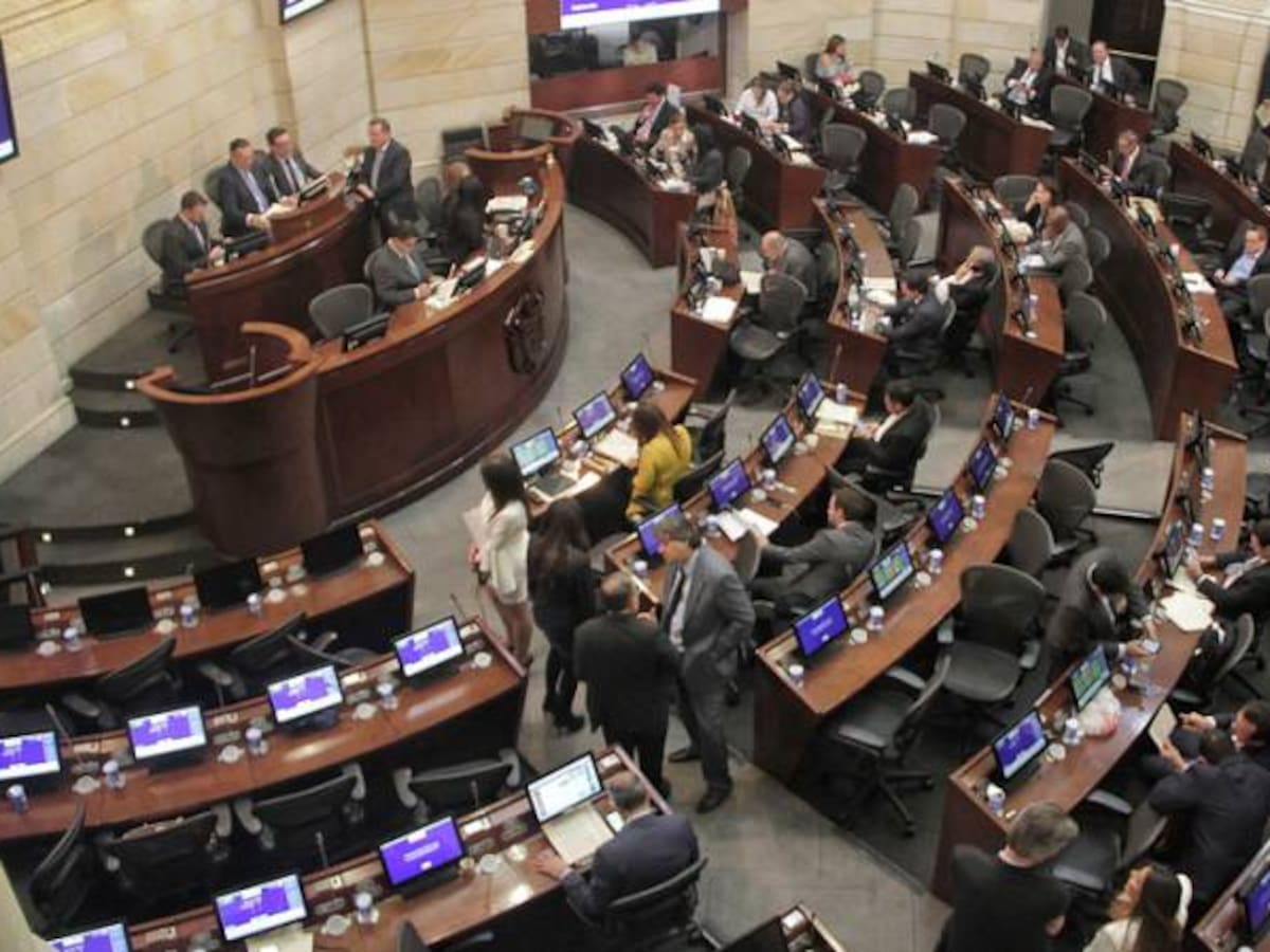 El 20 de julio entrará en vigencia el Estatuto de la Oposición