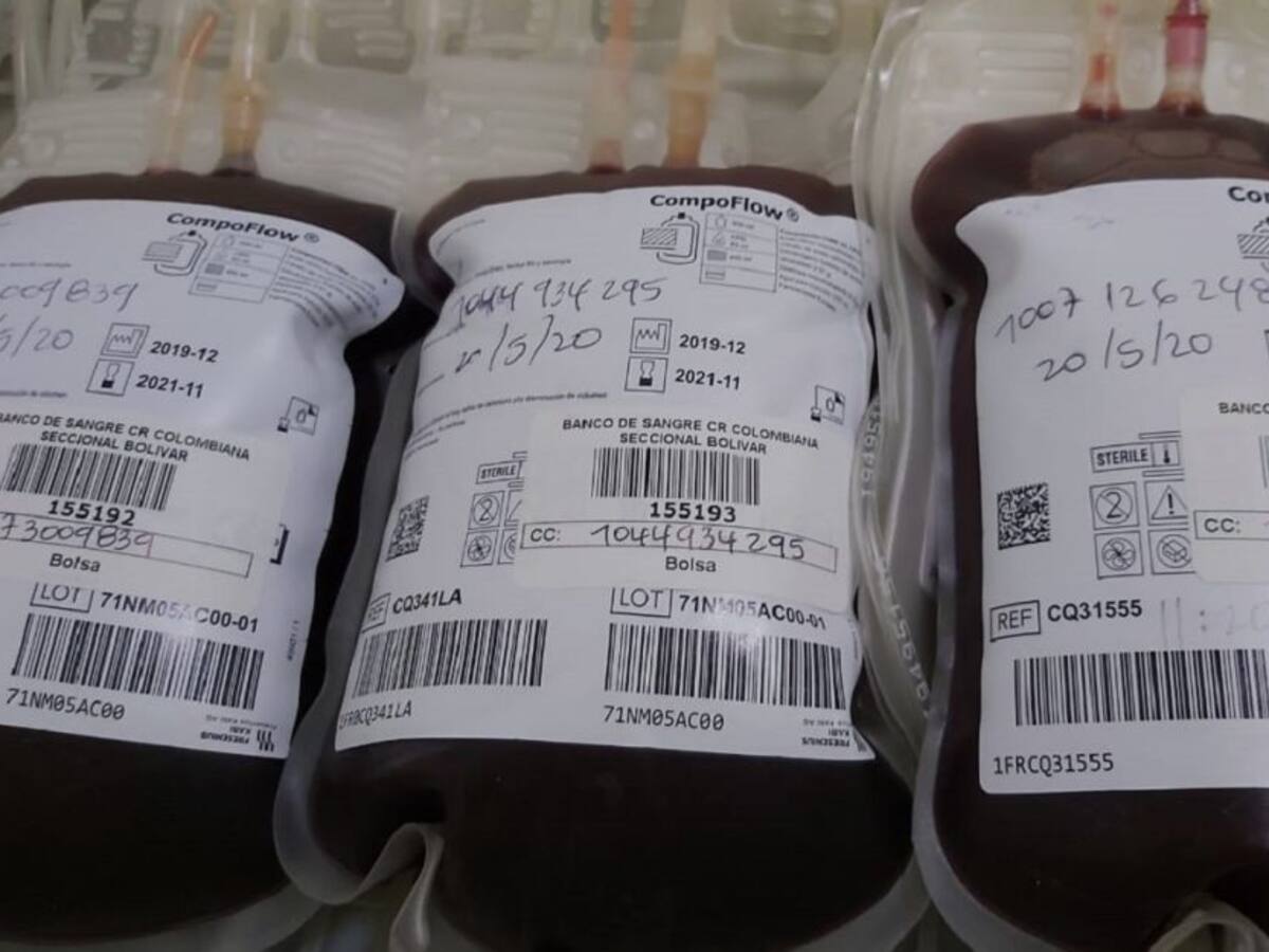 Cruz Roja Bolívar reporta desabastecimiento en banco de sangre