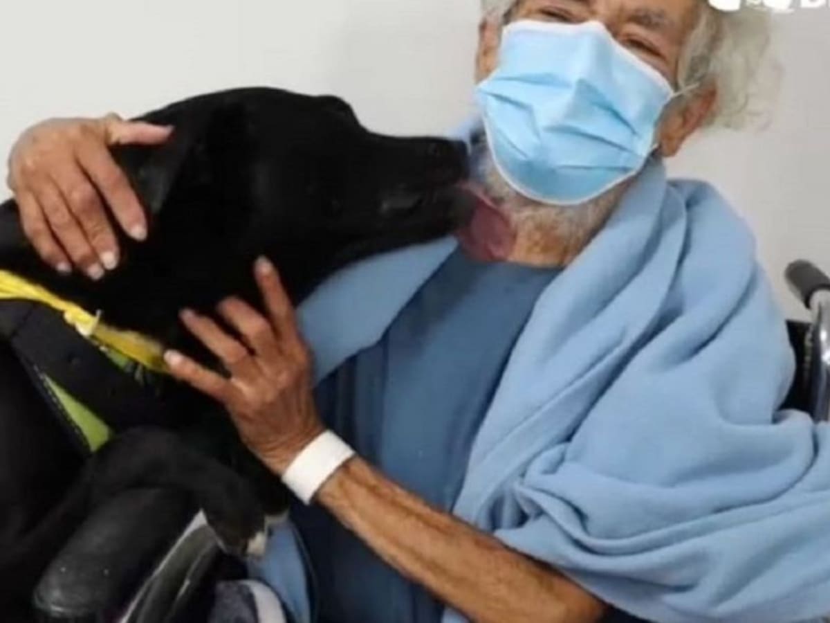 Bruno Moisés en proceso de adopción tras la muerte de su amo