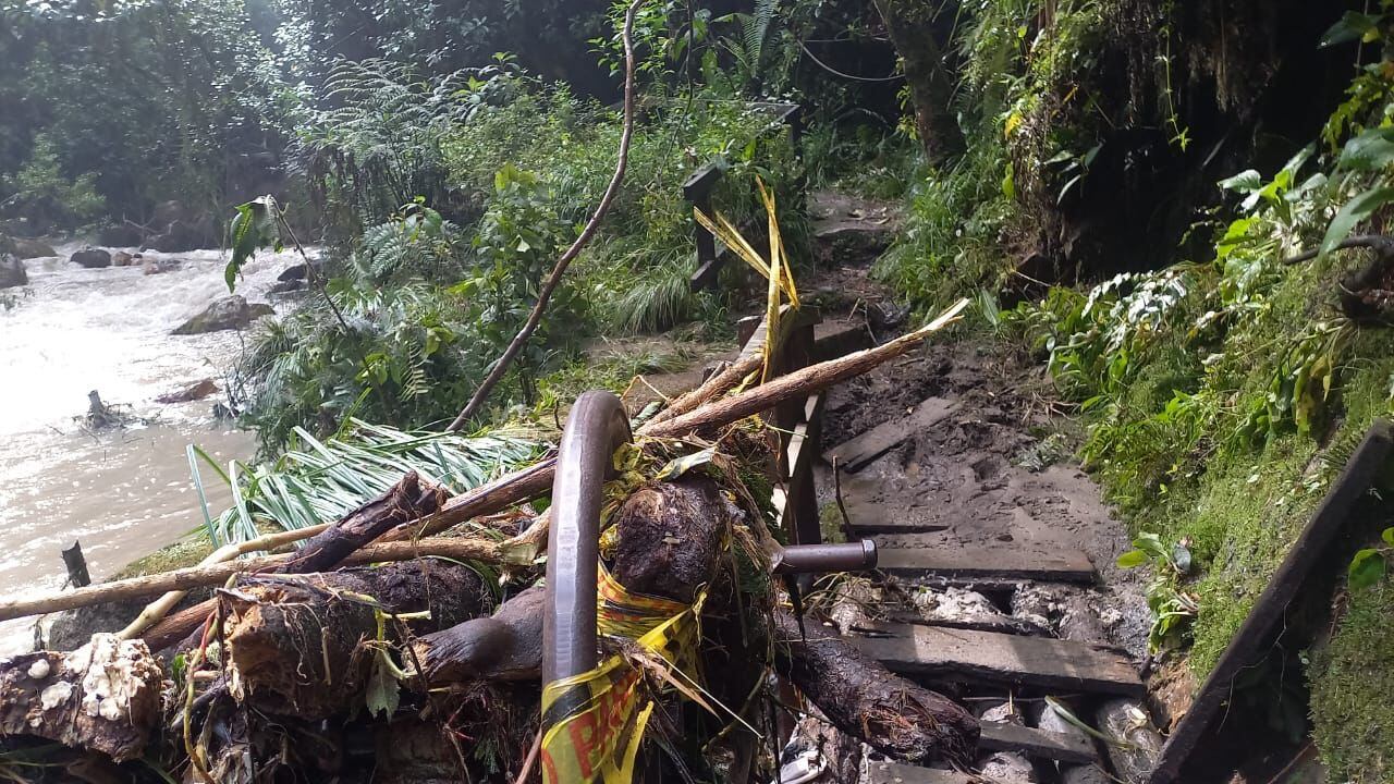 Afectaciones en el sendero San Francisco - Vicachá. Foto: Jardín Botánico.