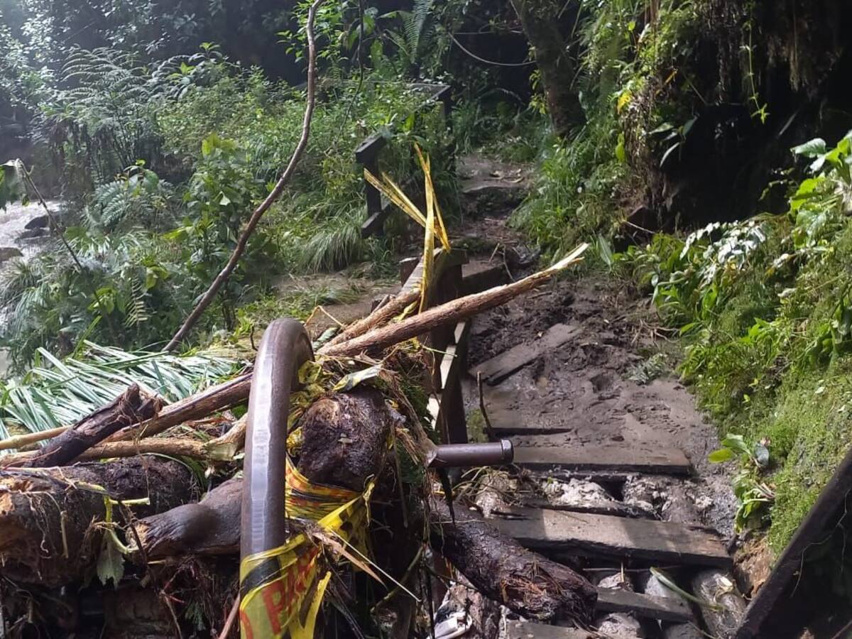 Jardín Botánico suspende el recorrido ecológico San Francisco – Vicachá