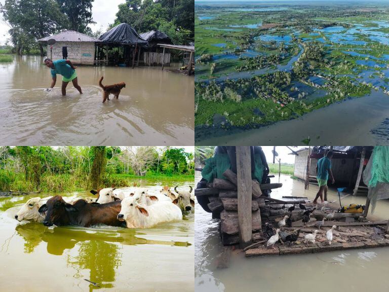 Ganaderos de la Mojana