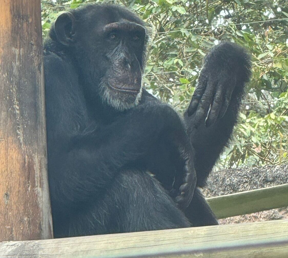 Fotografía suministrada: Ukumari