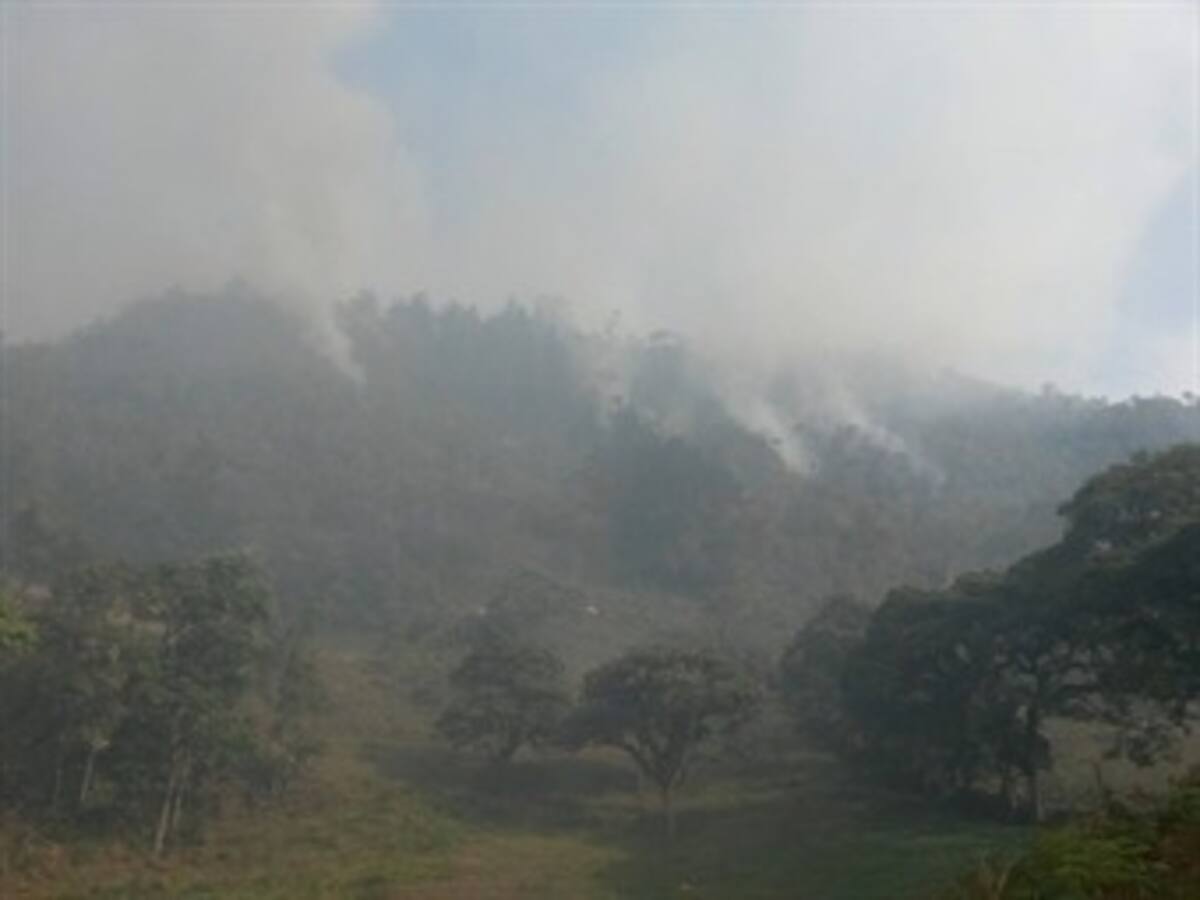 Pobladores de la región del Valle de Tenza alertan sobre incendio forestal
