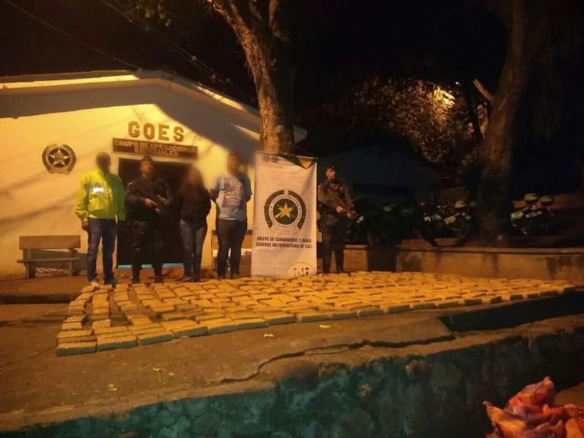 Policía antinarcóticos incautó 284 kilos de marihuana al norte de Cali