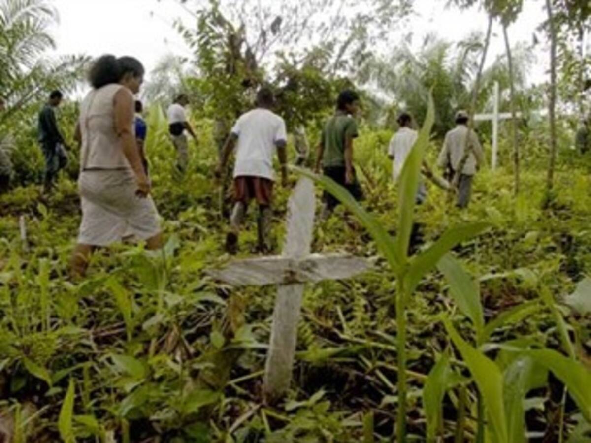 Robo de tierra a manos de las Farc supera las 75 mil hectáreas