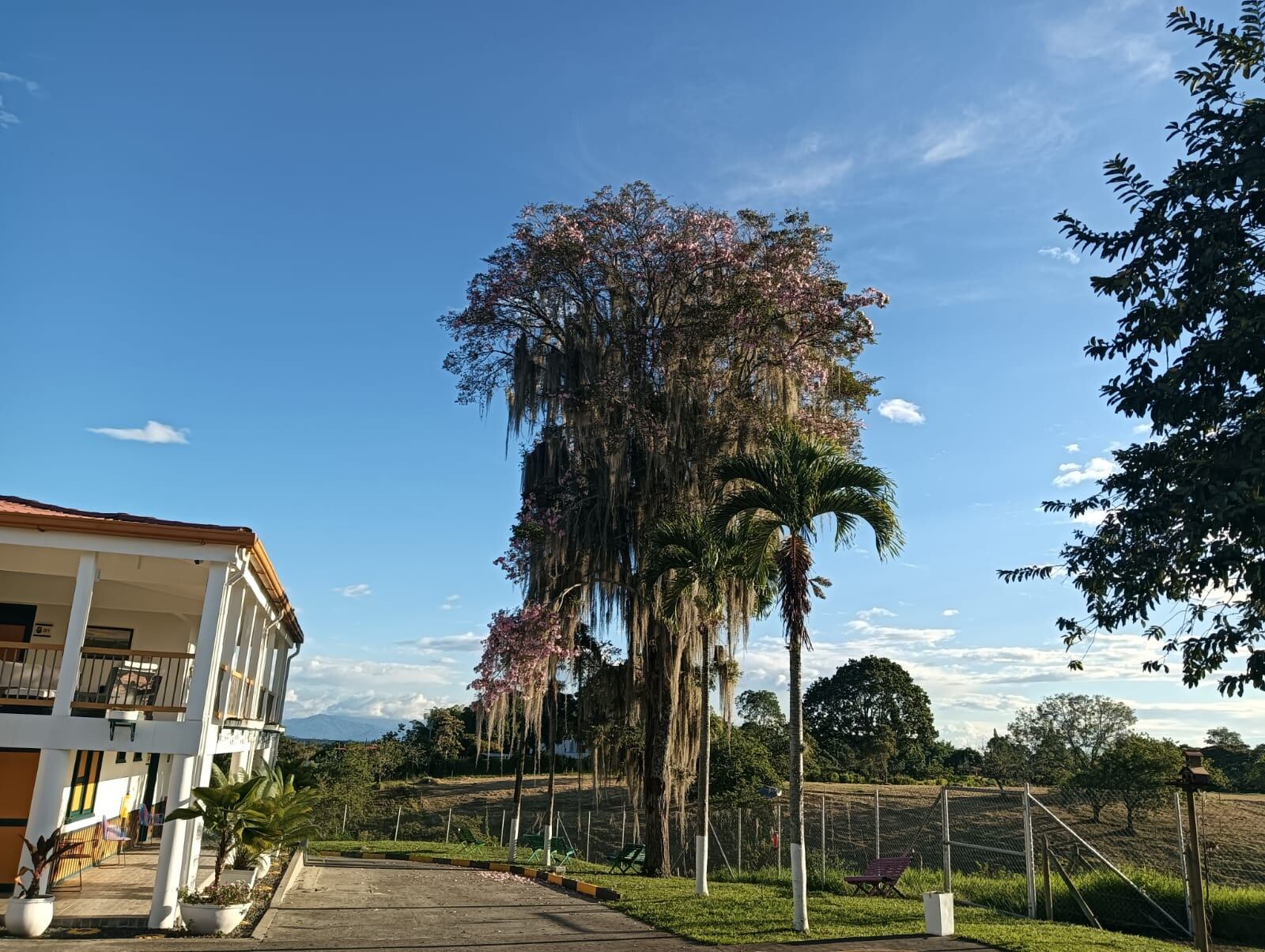 Los hermosos paisajes del Quindío, vía Montenegro - Quimbaya. Foto: Adrián Trejos