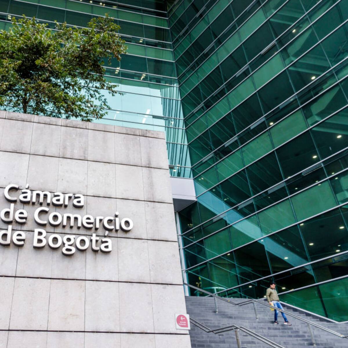 Ratifican comportamiento ético y moral de los miembros de la Junta Directiva de la CCB