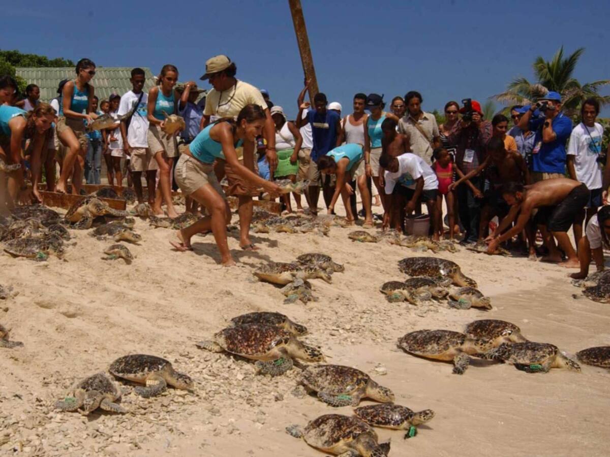 Demolieron estructuras ilegales en Parque Natural de la región Caribe