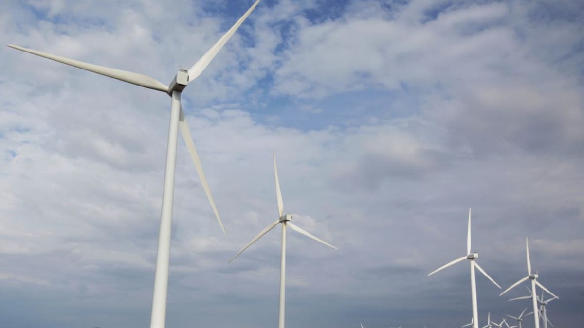 Distrito competirá para la construcción de parque eólico costa afuera