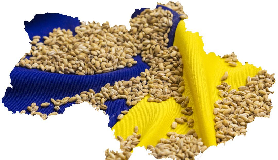 Grano ucraniano.