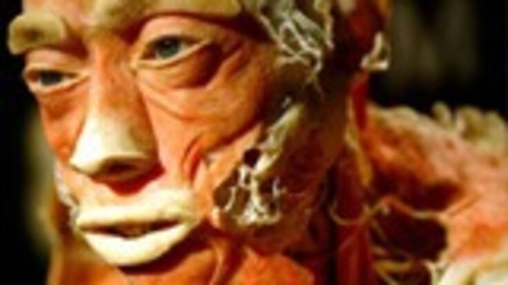 La próxima semana comienza la exposición 'Bodies' en Bogotá. Serán 12 cadaveres que se exhibirán bajo el proceso de plastinación