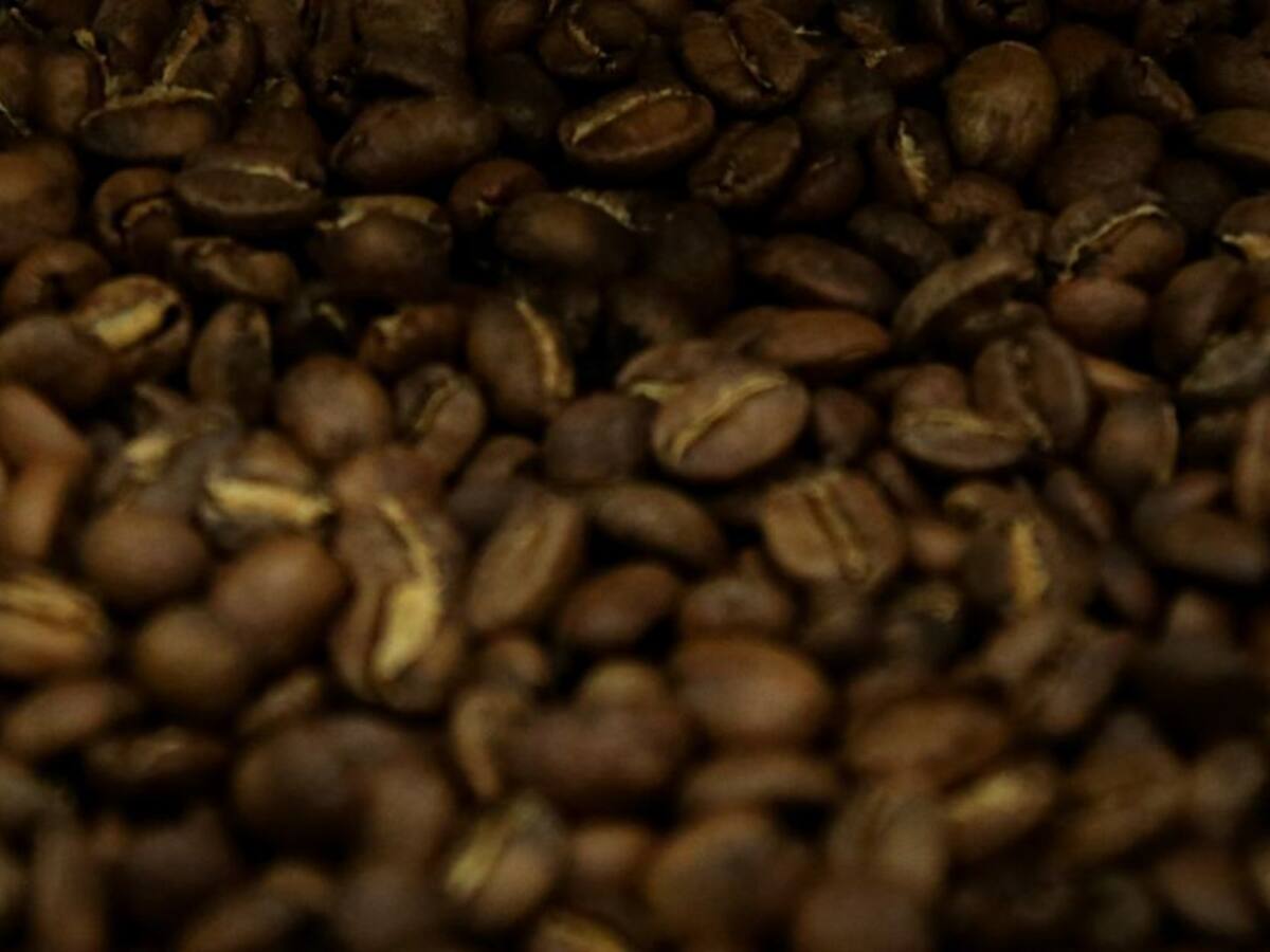 Congreso cafetero evalúa crisis económica de los productores del grano