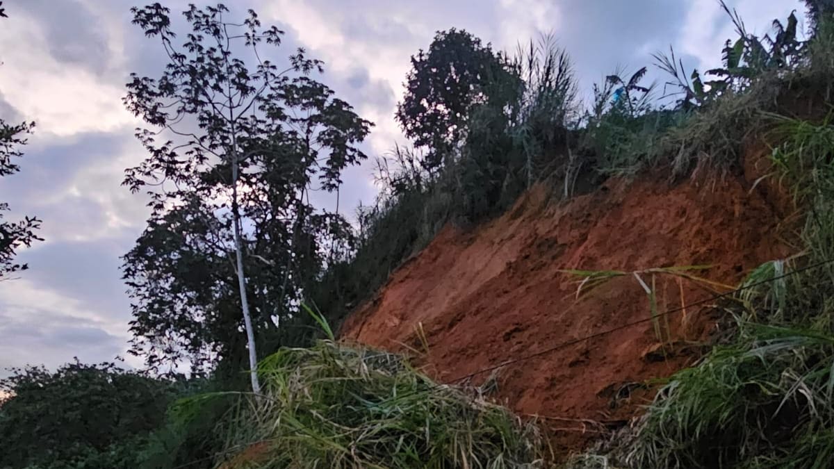 Darío Bedoya, veeduría cordillerana del Quindío