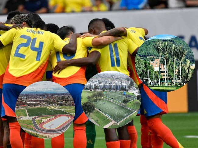Partido entre la Selección Colombia y Panamá: ¿Dónde verlo en Bogotá?