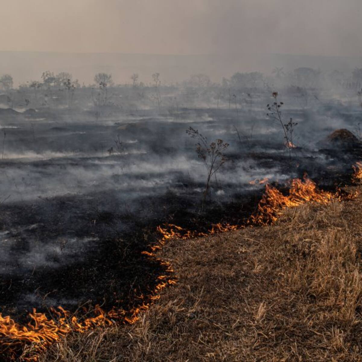 Investigan grave incendio en el páramo de Siscuncí Ocetá en Boyacá