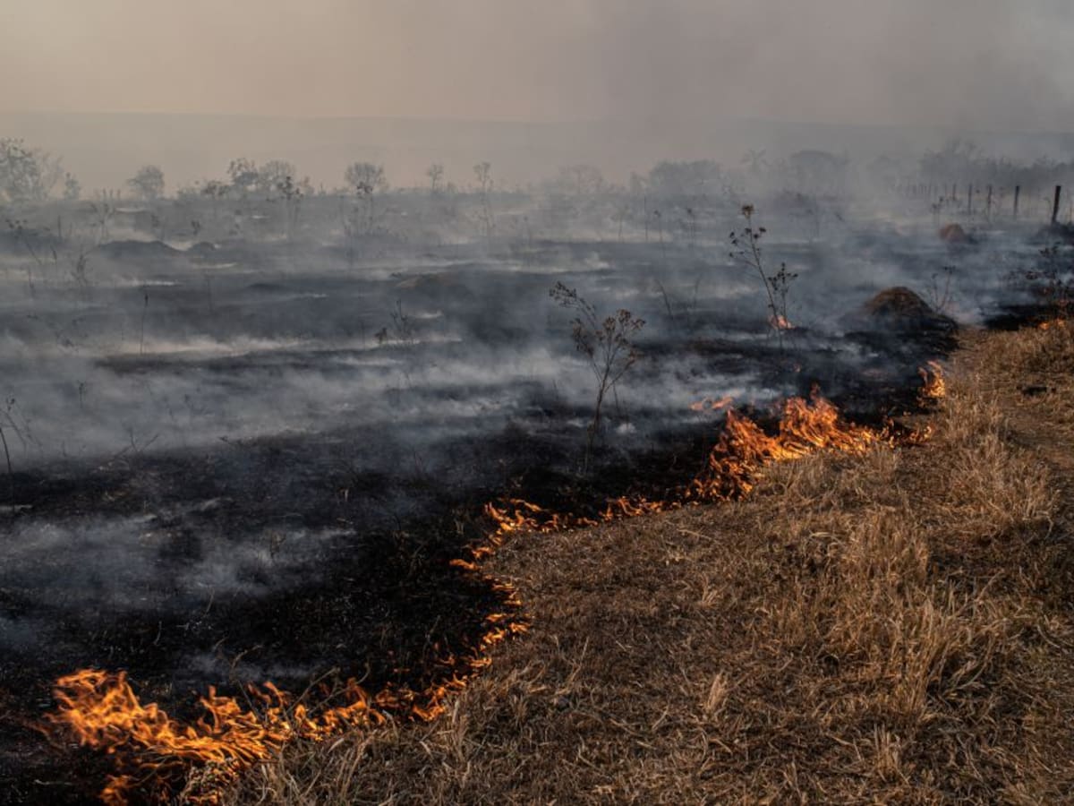 Dos incendios forestales en Boyacá comprometen represa de Chivor y bosques