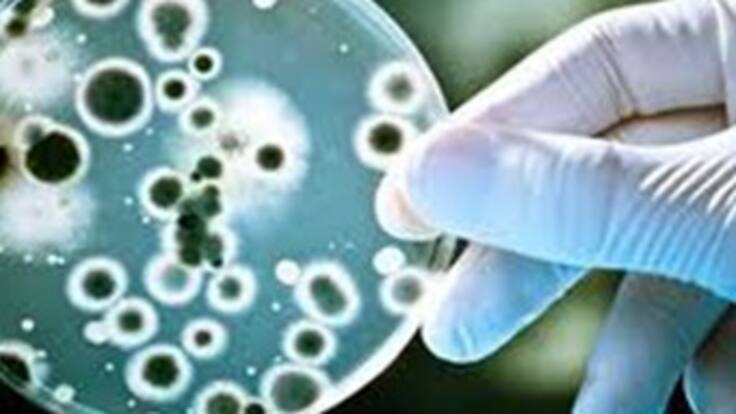 46 Festival de la leyenda vallenata