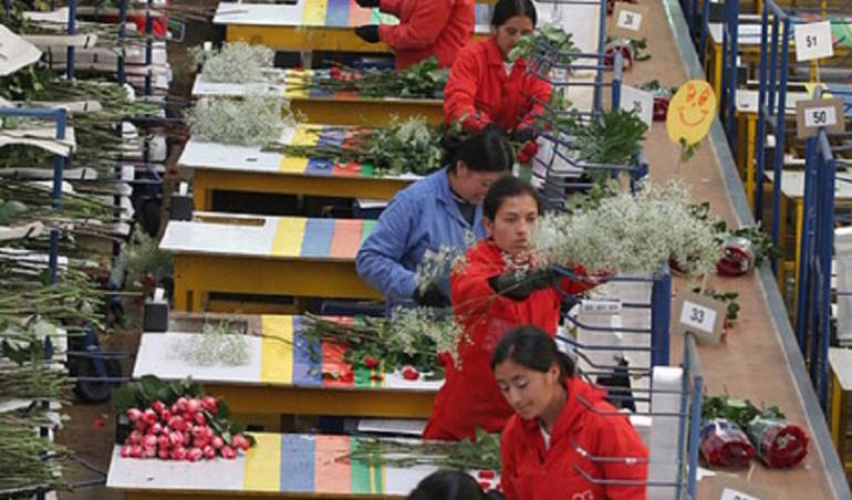 Trabajadores de Flores