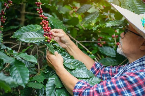 | Foto: Getty Images