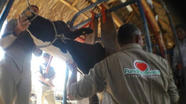 350 ex integrantes de las Farc se capacitan en técnicas agrarias