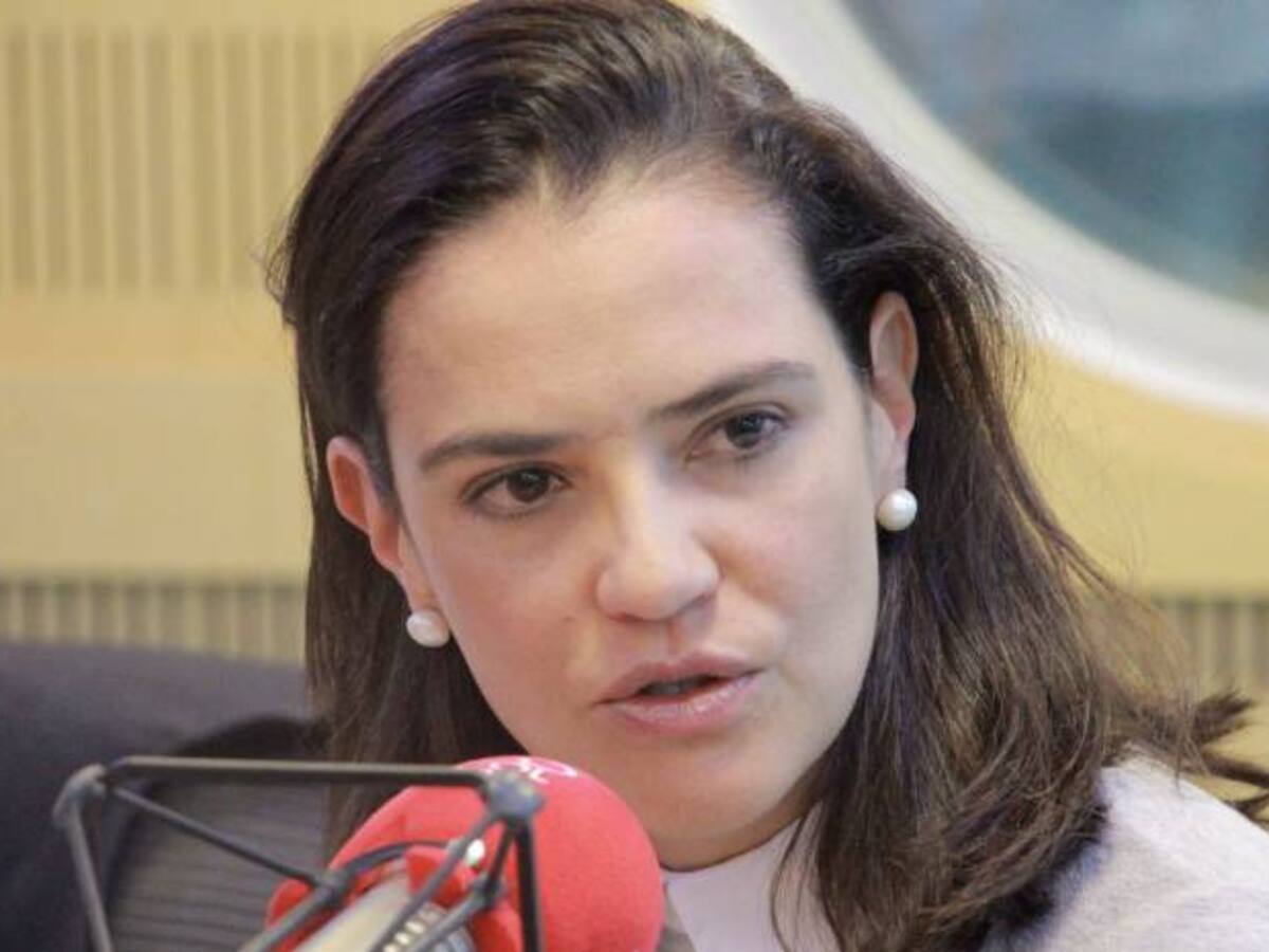 Es absurdo que las Farc sigan teniendo relevancia electoral: A. Villamizar