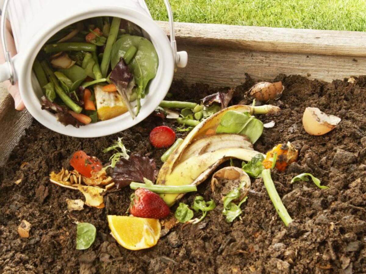 ¿Cómo crear compostaje en casa?